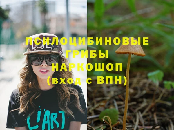 гидропоника Алзамай