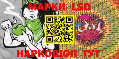 Альфа ПВП Аргун