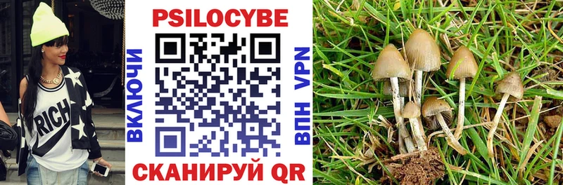 блэк спрут как войти  Березники  Галлюциногенные грибы прущие грибы 
