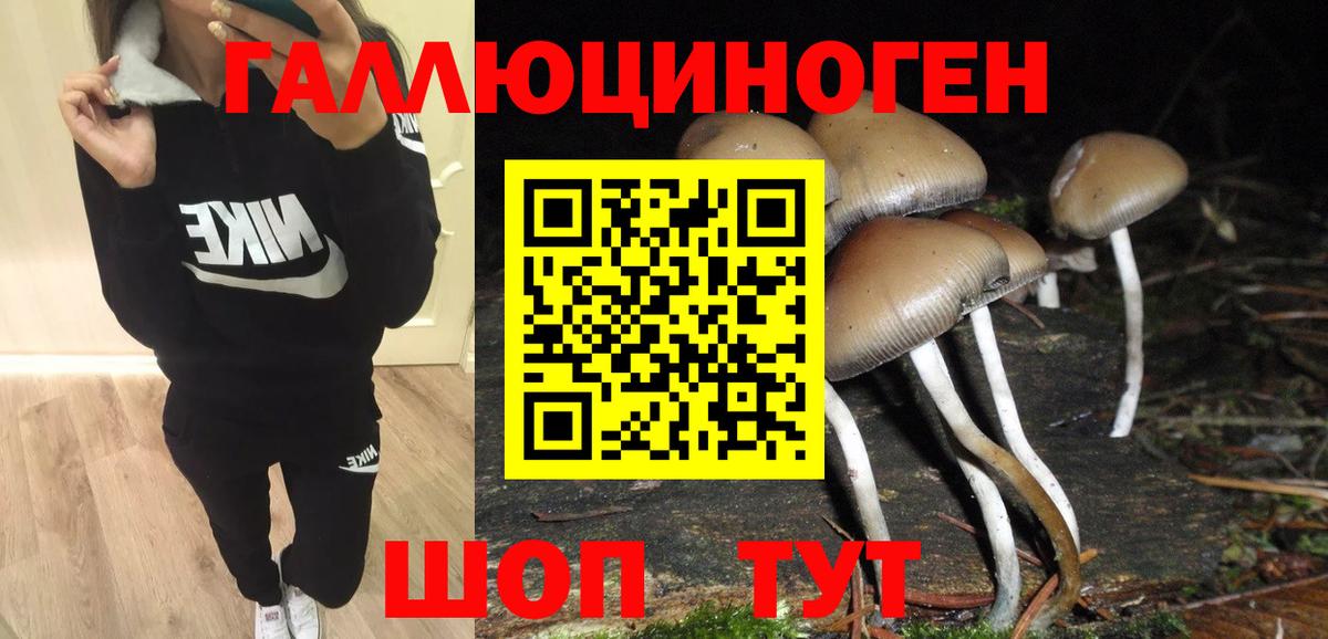 Псилоцибиновые грибы мицелий Березники