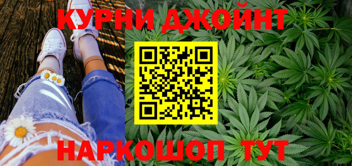Конопля сатива Березники